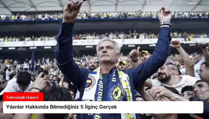 Yılanlar Hakkında Bilmediğiniz 5 İlginç Gerçek