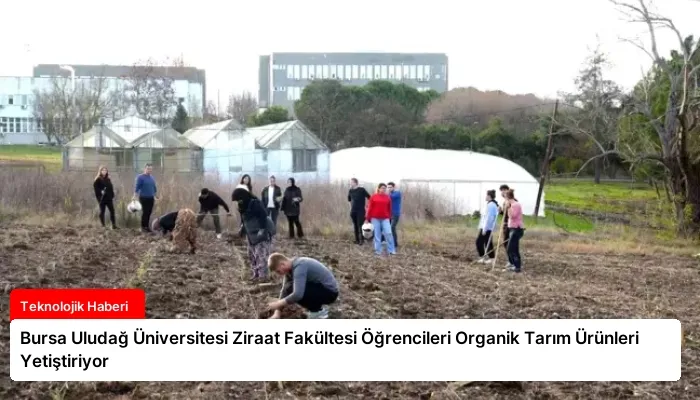 Bursa Uludağ Üniversitesi Ziraat Fakültesi Öğrencileri Organik Tarım Ürünleri Yetiştiriyor