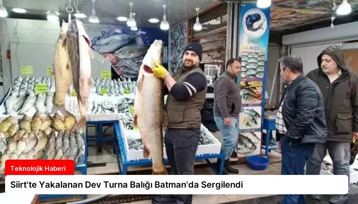 Siirt’te Yakalanan Dev Turna Balığı Batman’da Sergilendi