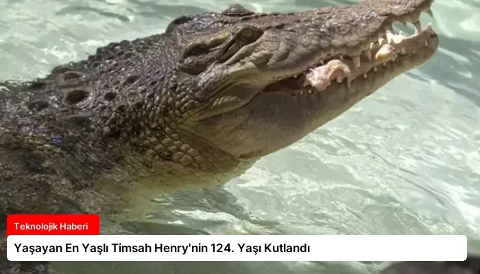 Yaşayan En Yaşlı Timsah Henry’nin 124. Yaşı Kutlandı