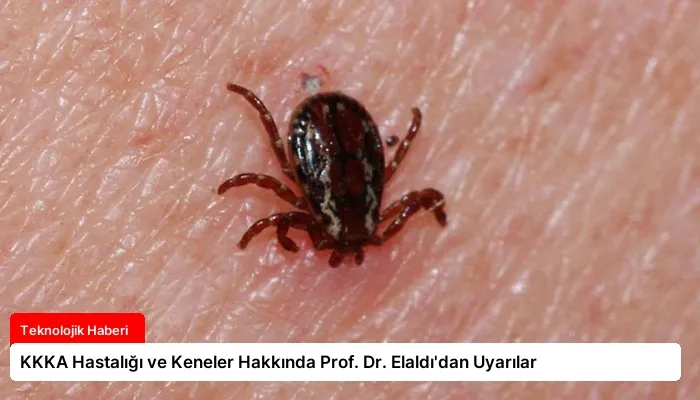 KKKA Hastalığı ve Keneler Hakkında Prof. Dr. Elaldı’dan Uyarılar