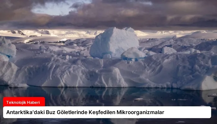 Antarktika’daki Buz Göletlerinde Keşfedilen Mikroorganizmalar