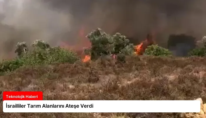 İsrailliler Tarım Alanlarını Ateşe Verdi