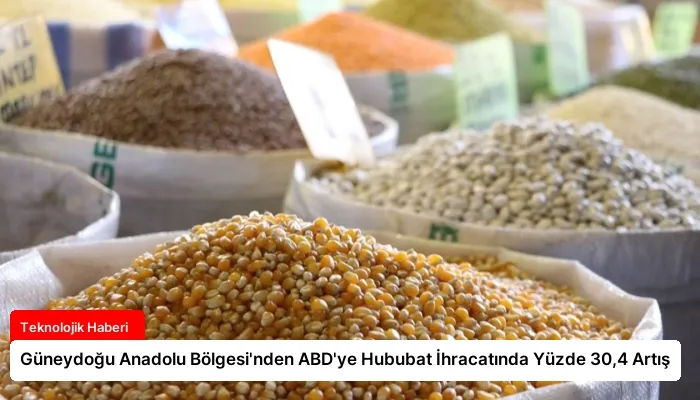 Güneydoğu Anadolu Bölgesi’nden ABD’ye Hububat İhracatında Yüzde 30,4 Artış