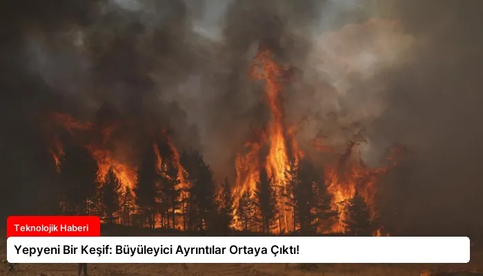 Yepyeni Bir Keşif: Büyüleyici Ayrıntılar Ortaya Çıktı!