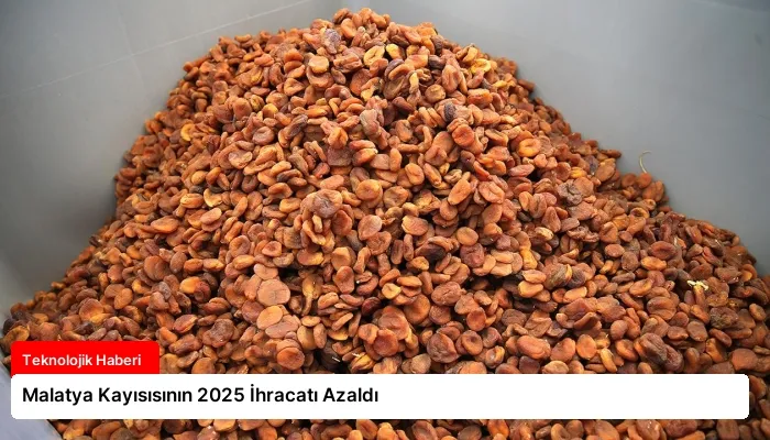 Malatya Kayısısının 2025 İhracatı Azaldı