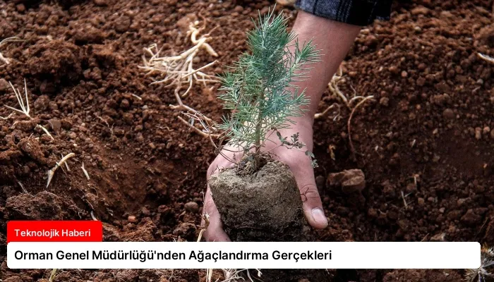 Orman Genel Müdürlüğü’nden Ağaçlandırma Gerçekleri
