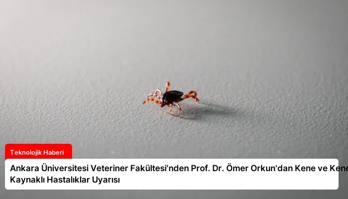 Ankara Üniversitesi Veteriner Fakültesi’nden Prof. Dr. Ömer Orkun’dan Kene ve Kene Kaynaklı Hastalıklar Uyarısı