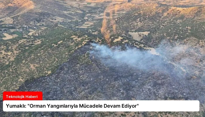 Yumaklı: “Orman Yangınlarıyla Mücadele Devam Ediyor”