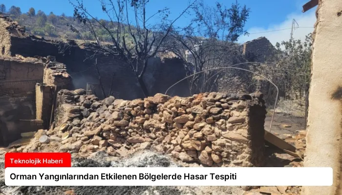 Orman Yangınlarından Etkilenen Bölgelerde Hasar Tespiti