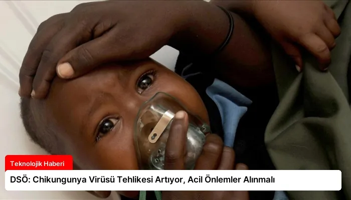 DSÖ: Chikungunya Virüsü Tehlikesi Artıyor, Acil Önlemler Alınmalı