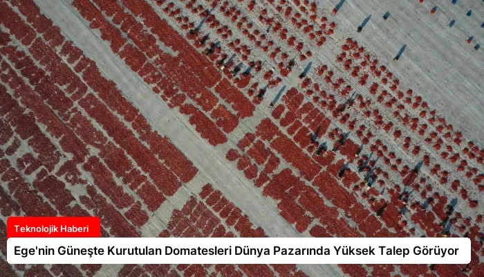 Ege’nin Güneşte Kurutulan Domatesleri Dünya Pazarında Yüksek Talep Görüyor