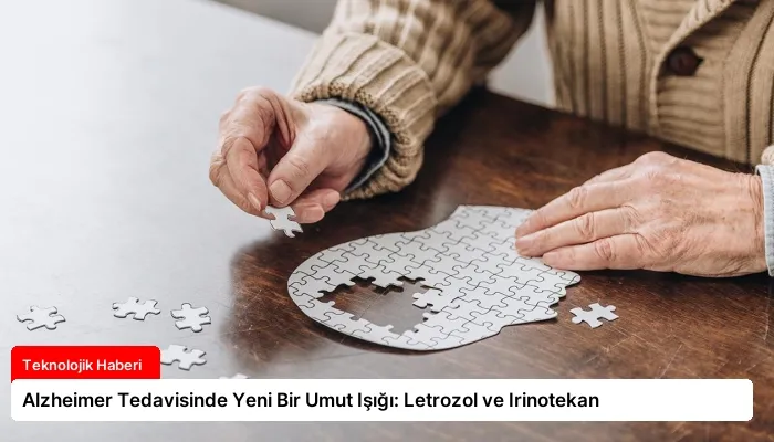 Alzheimer Tedavisinde Yeni Bir Umut Işığı: Letrozol ve Irinotekan