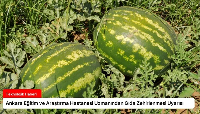 Ankara Eğitim ve Araştırma Hastanesi Uzmanından Gıda Zehirlenmesi Uyarısı