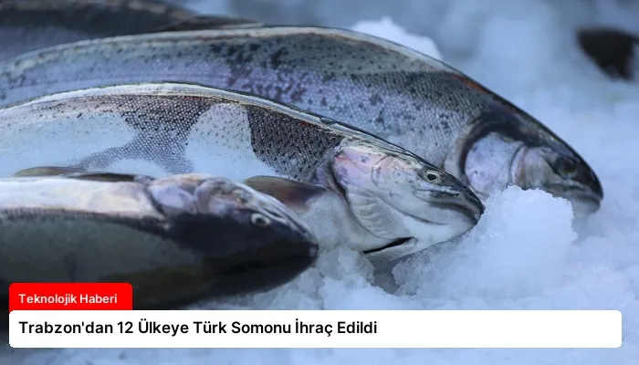 Trabzon’dan 12 Ülkeye Türk Somonu İhraç Edildi