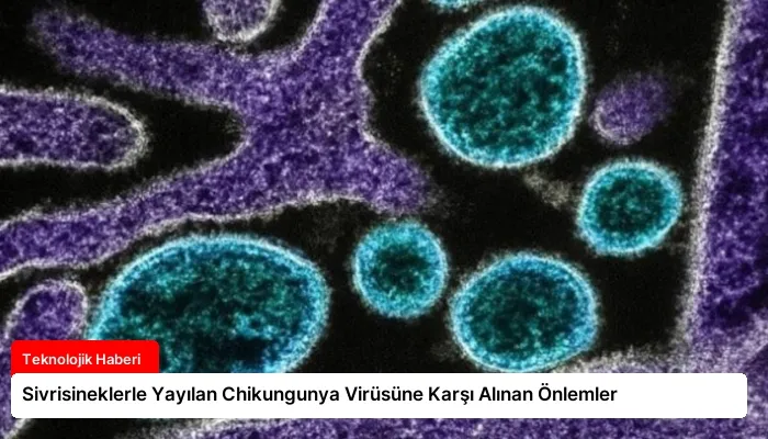 Sivrisineklerle Yayılan Chikungunya Virüsüne Karşı Alınan Önlemler