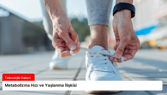Metabolizma Hızı ve Yaşlanma İlişkisi