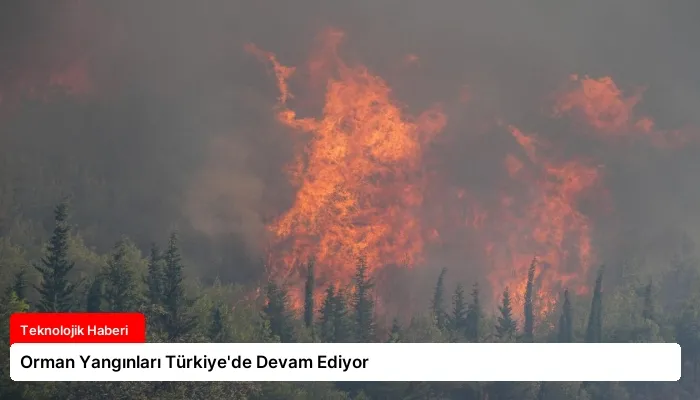 Orman Yangınları Türkiye’de Devam Ediyor