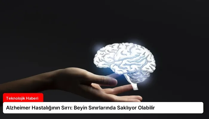 Alzheimer Hastalığının Sırrı: Beyin Sınırlarında Saklıyor Olabilir