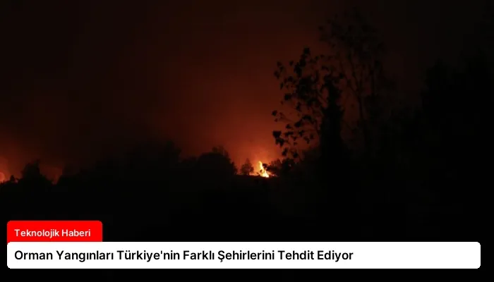 Orman Yangınları Türkiye’nin Farklı Şehirlerini Tehdit Ediyor