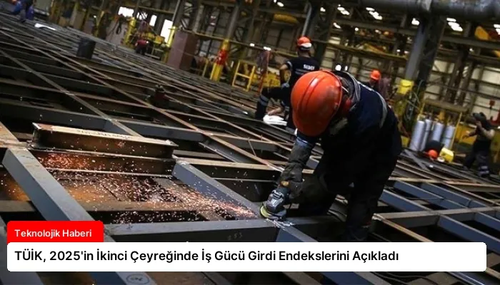 TÜİK, 2025’in İkinci Çeyreğinde İş Gücü Girdi Endekslerini Açıkladı