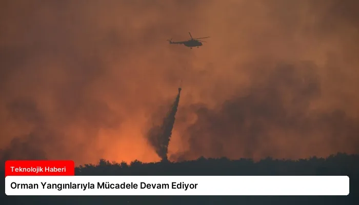 Orman Yangınlarıyla Mücadele Devam Ediyor