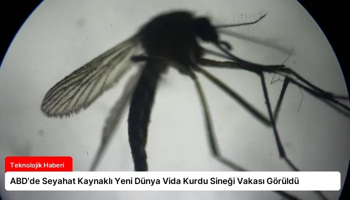 ABD’de Seyahat Kaynaklı Yeni Dünya Vida Kurdu Sineği Vakası Görüldü