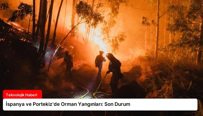 İspanya ve Portekiz’de Orman Yangınları: Son Durum