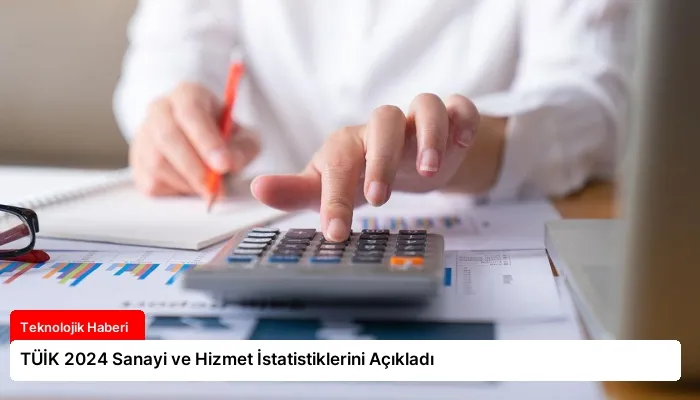 TÜİK 2024 Sanayi ve Hizmet İstatistiklerini Açıkladı