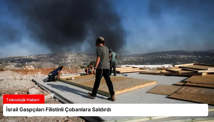 İsrail Gaspçıları Filistinli Çobanlara Saldırdı