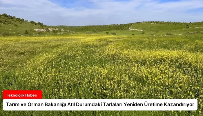 Tarım ve Orman Bakanlığı Atıl Durumdaki Tarlaları Yeniden Üretime Kazandırıyor