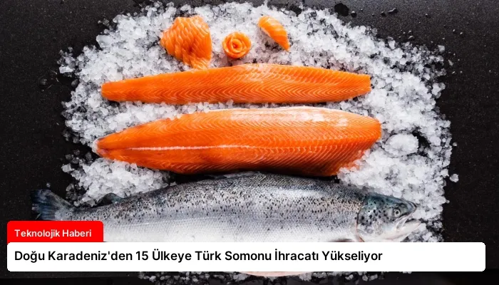 Doğu Karadeniz’den 15 Ülkeye Türk Somonu İhracatı Yükseliyor
