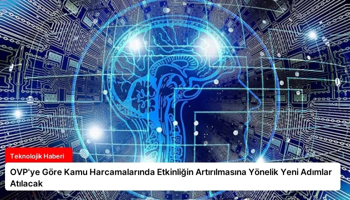 OVP’ye Göre Kamu Harcamalarında Etkinliğin Artırılmasına Yönelik Yeni Adımlar Atılacak