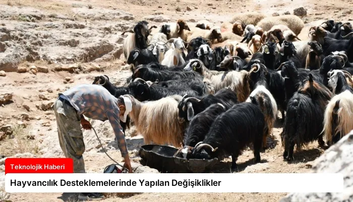 Hayvancılık Desteklemelerinde Yapılan Değişiklikler