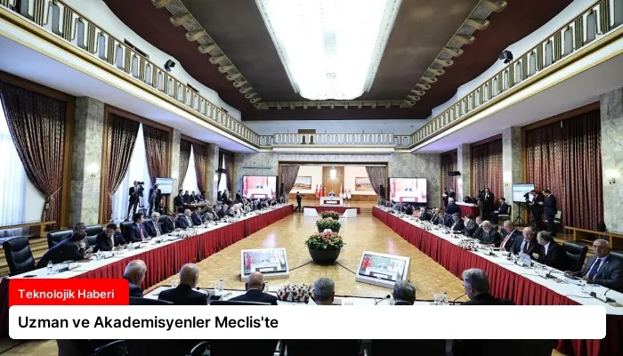 Uzman ve Akademisyenler Meclis’te