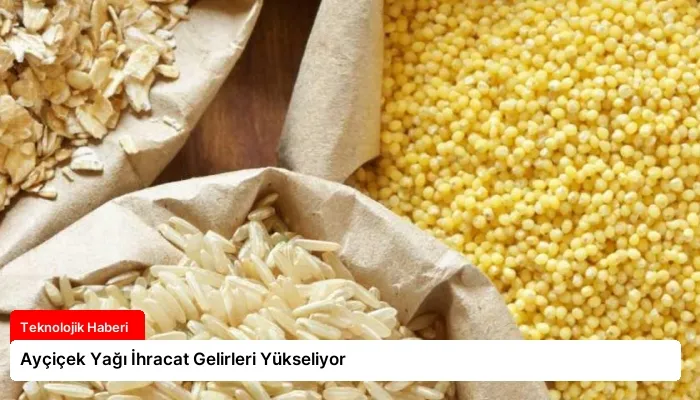 Ayçiçek Yağı İhracat Gelirleri Yükseliyor
