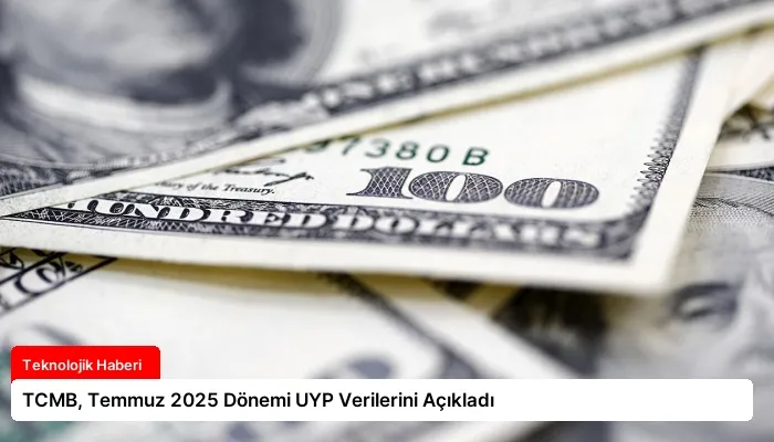 TCMB, Temmuz 2025 Dönemi UYP Verilerini Açıkladı