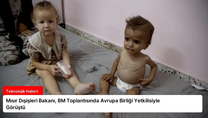 Mısır Dışişleri Bakanı, BM Toplantısında Avrupa Birliği Yetkilisiyle Görüştü