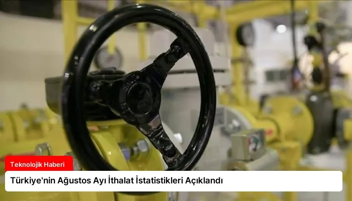 Türkiye’nin Ağustos Ayı İthalat İstatistikleri Açıklandı