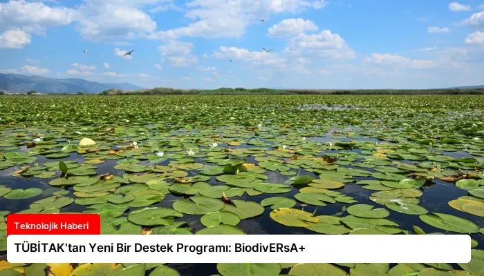 TÜBİTAK’tan Yeni Bir Destek Programı: BiodivERsA+