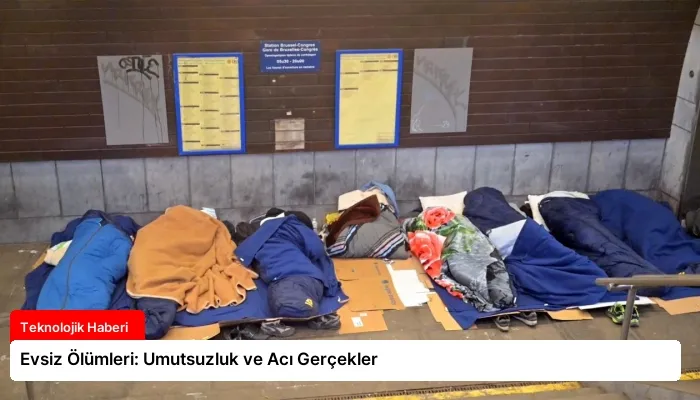 Evsiz Ölümleri: Umutsuzluk ve Acı Gerçekler