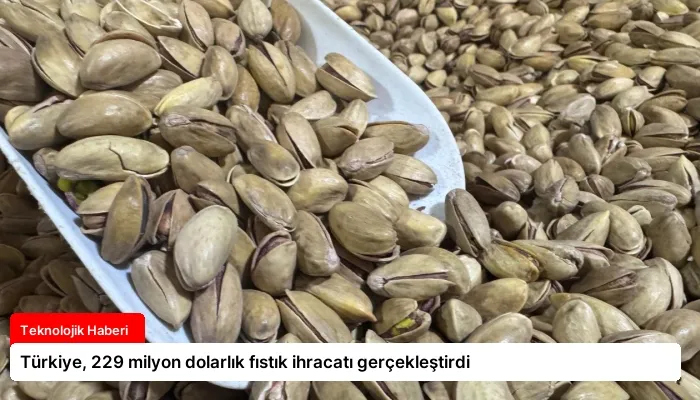 Türkiye, 229 milyon dolarlık fıstık ihracatı gerçekleştirdi
