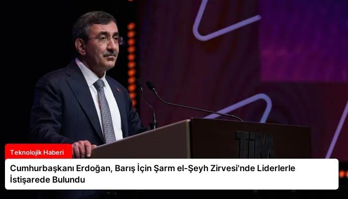 Cumhurbaşkanı Erdoğan, Barış İçin Şarm el-Şeyh Zirvesi’nde Liderlerle İstişarede Bulundu