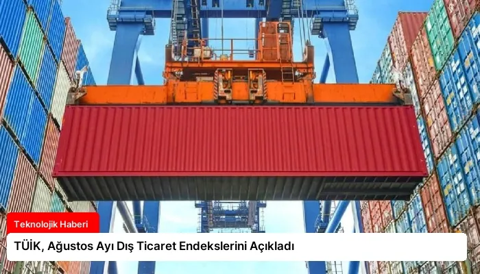 TÜİK, Ağustos Ayı Dış Ticaret Endekslerini Açıkladı
