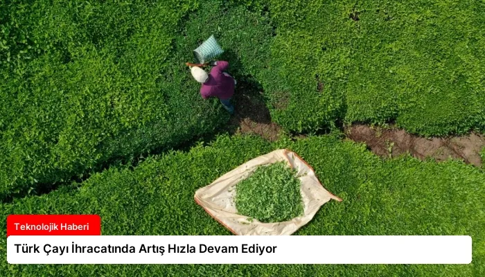 Türk Çayı İhracatında Artış Hızla Devam Ediyor