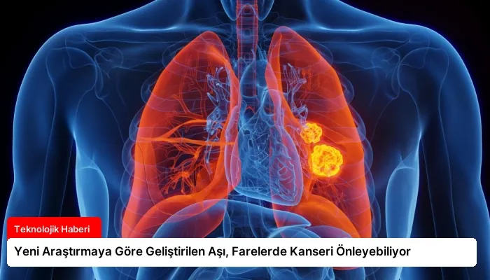 Yeni Araştırmaya Göre Geliştirilen Aşı, Farelerde Kanseri Önleyebiliyor