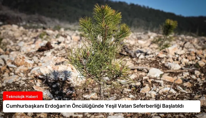 Cumhurbaşkanı Erdoğan’ın Öncülüğünde Yeşil Vatan Seferberliği Başlatıldı
