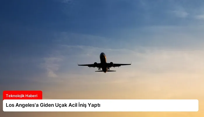Los Angeles’a Giden Uçak Acil İniş Yaptı