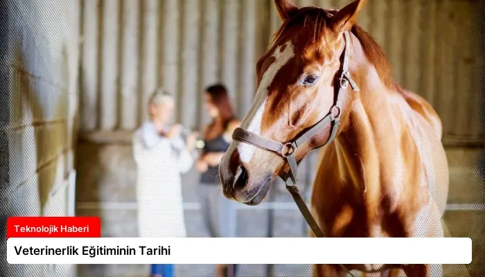 Veterinerlik Eğitiminin Tarihi