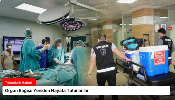 Organ Bağışı: Yeniden Hayata Tutunanlar